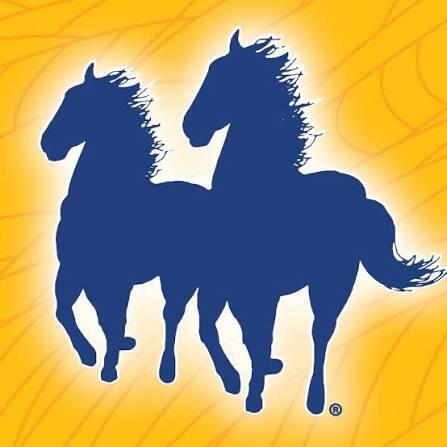 Mane’N Tail