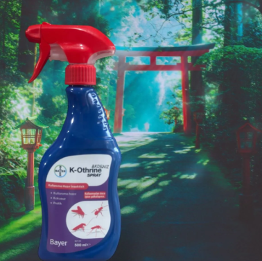 Bayer K-Othrine AL Böcek İlacı 500 ml - bayer