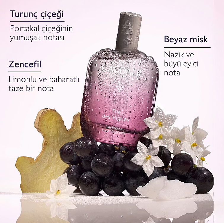 Caudalie The Des Vignes Beyaz Misk ve Zencefil Aromalı Vücut Kokusu 100 ml - 4